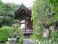墓地画像