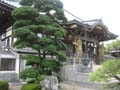 墓地画像