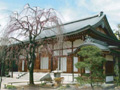 墓地画像