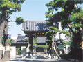 墓地画像