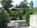 墓地画像