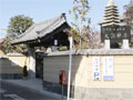 墓地画像