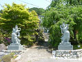 墓地画像