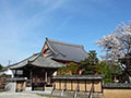 墓地画像